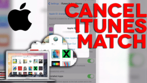 unsubscribe iTunes Match